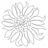 simple sunflower